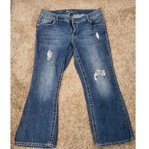 Lane Bryant Boot cut Jeans - Size 18